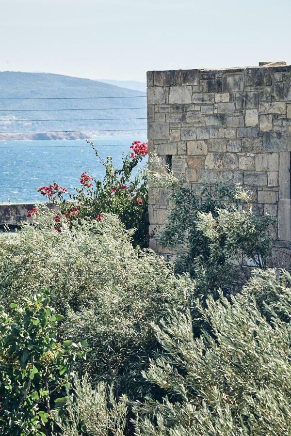 Nikolaou Art Residence Aegina Kültér fotó