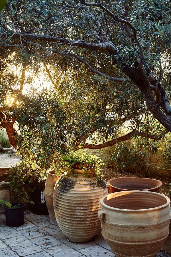 Nikolaou Art Residence Aegina Kültér fotó