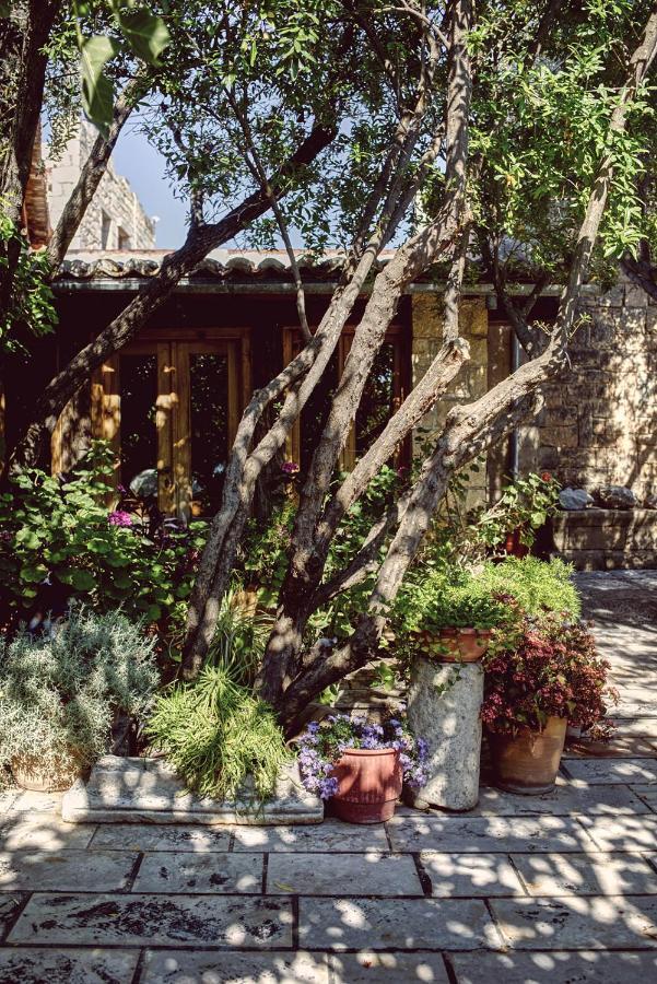 Nikolaou Art Residence Aegina Kültér fotó