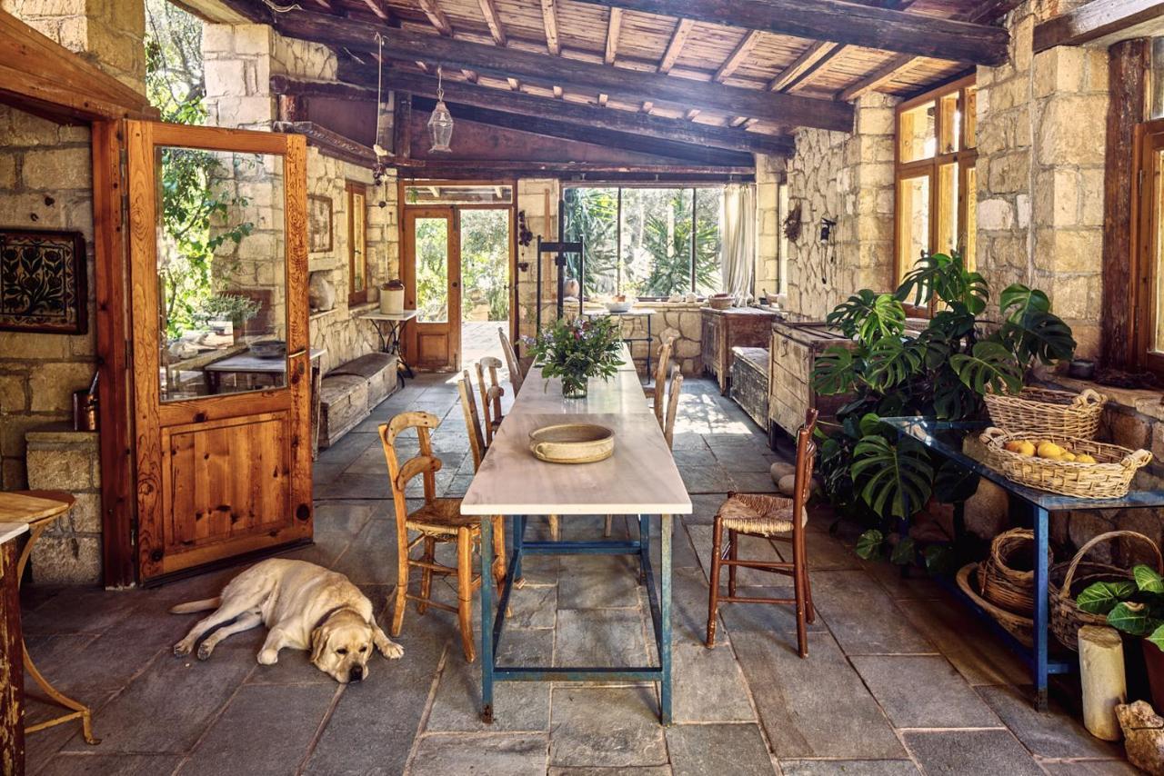Nikolaou Art Residence Aegina Kültér fotó